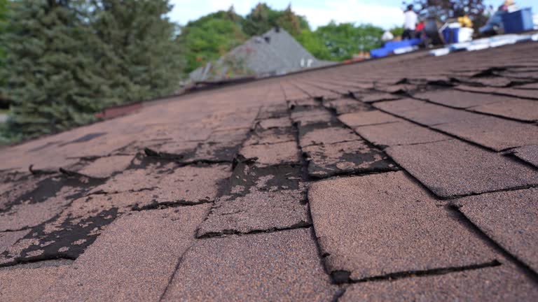 Best Storm Damage Roof Repair  in Stinnett, TX