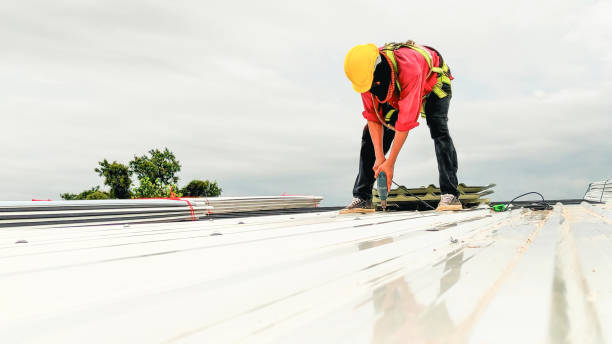 Best Gutter Installation and Repair  in Stinnett, TX