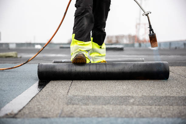 Best Asphalt Shingle Roofing  in Stinnett, TX