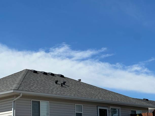 Best Asphalt Shingles Roofing  in Stinnett, TX